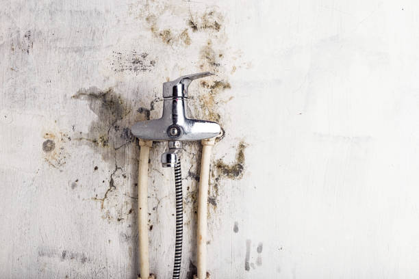 Best Residential Mold Removal  in Murfreesboro, AR